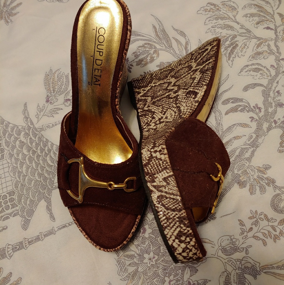 Coup D'etat wedge